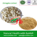 High Quality Astragalus Extract